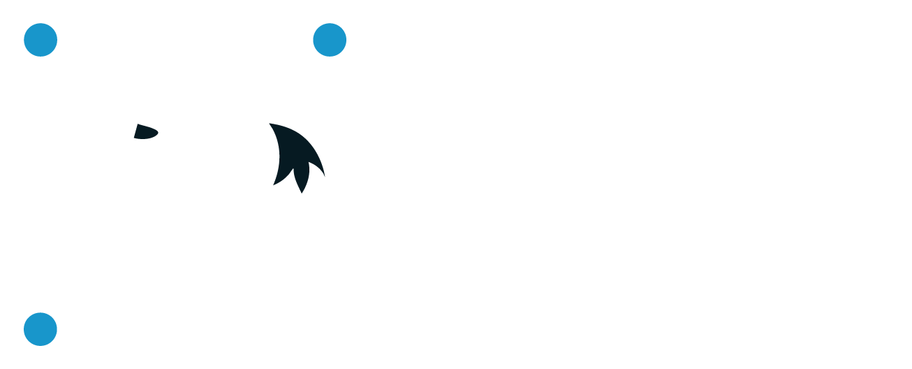 QR Fox
